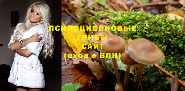 марки lsd Ельня