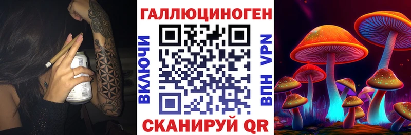 Купить где  Чкаловск  Галлюциногенные грибы MAGIC MUSHROOMS 
